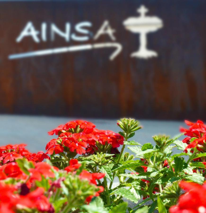 Guest House Ainsa Pirineos Екстериор снимка